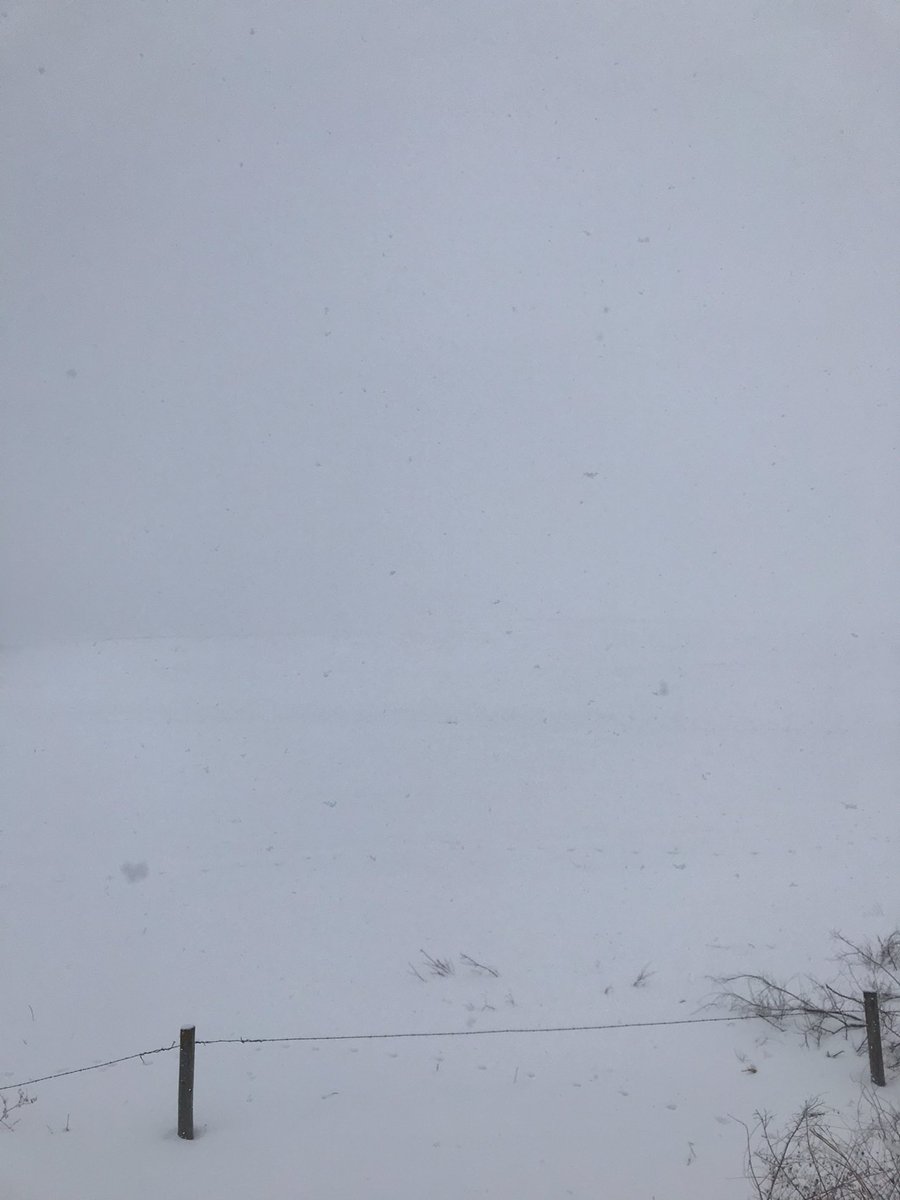 jballew_horns26's tweet photo. Thank you lord for this beautiful fluffy snowfall and no wind! Great run out in the country for #SundayRunday! #WinterRunning #Run712 #CountryRunning https://t.co/51NG1nhCA4