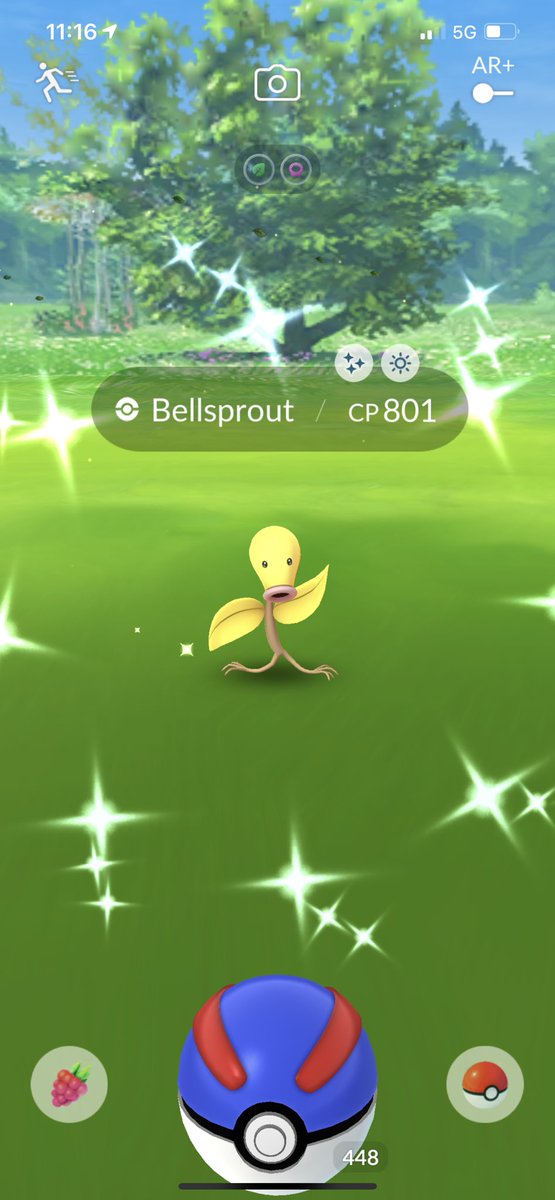 OGFource's tweet image. Yo this #KantoTourEvent was something to remember I went ham on some #ShinyPokemon here’s some other ones lol I completed that #ShinyPikachu family too #PokemonGo #Pokemon #PoGo #ShinyPokemonMaster #PokemonMaster