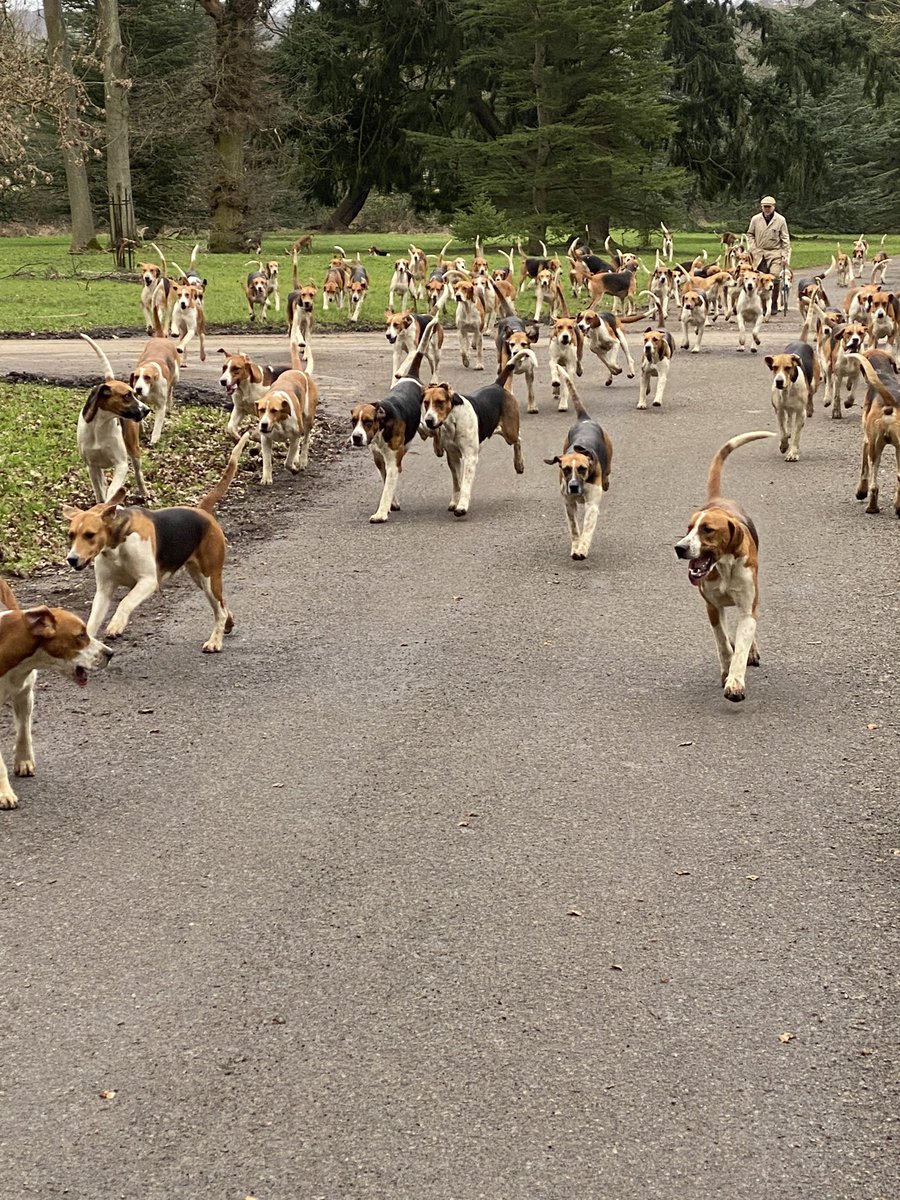 Steve Boswell tweet media