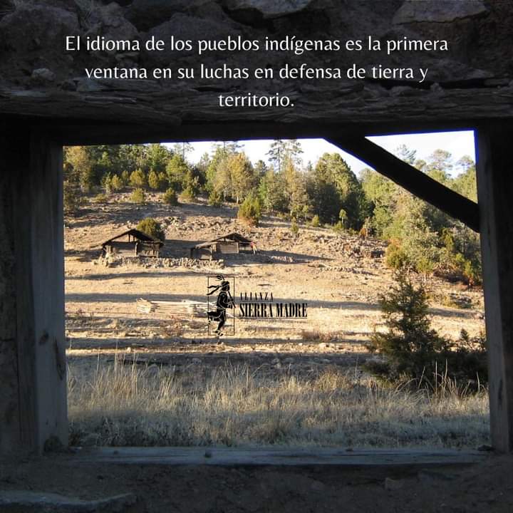 ASMACChihuahua's tweet photo. 🗣Nuestros idiomas son parte esencial de nuestra identidad.✊
#21DeFebrero #DiaDeLaLlenguaMaterna
#DefensaDelTerritorio
#DefensaDelBosque
#SierraTarahumara https://t.co/h6hcuA4qy3