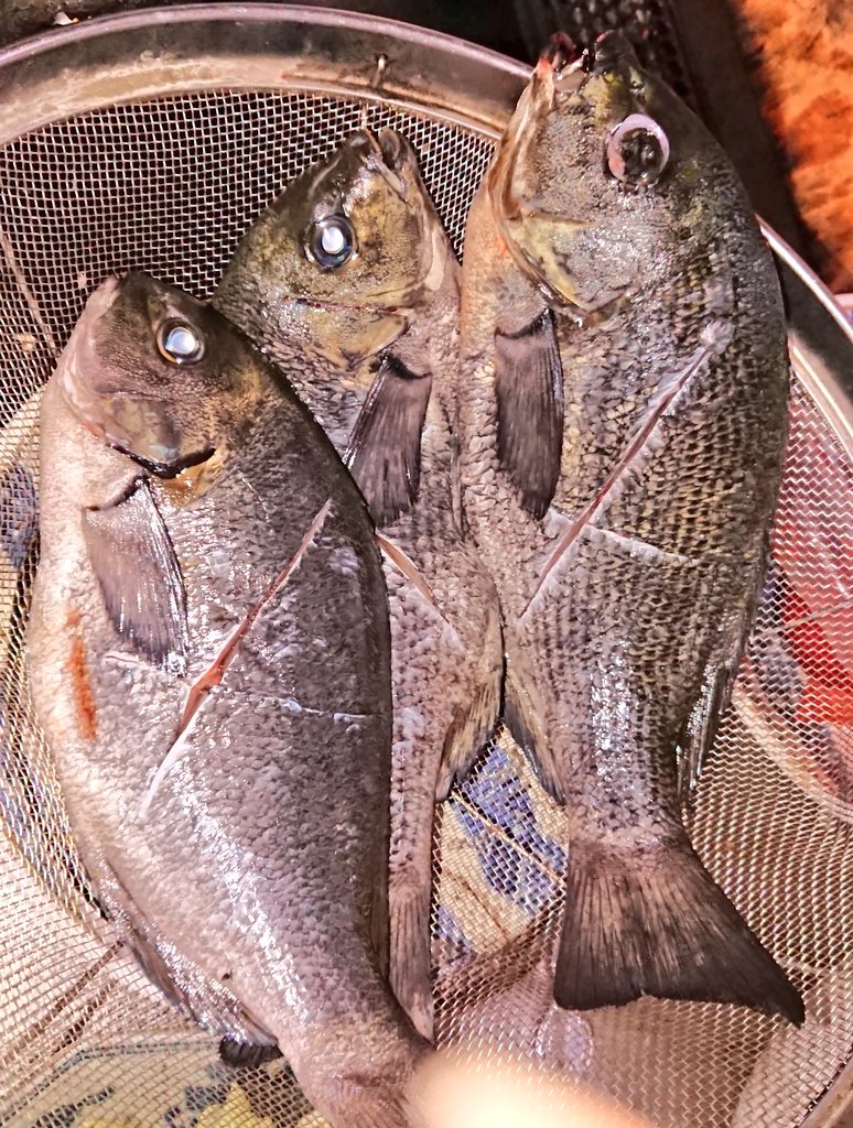 みんなの 刺身 おいしい 口コミ 評判 61ページ目 食べたいランチ 夜ごはんがきっと見つかる ナウティスイーツ