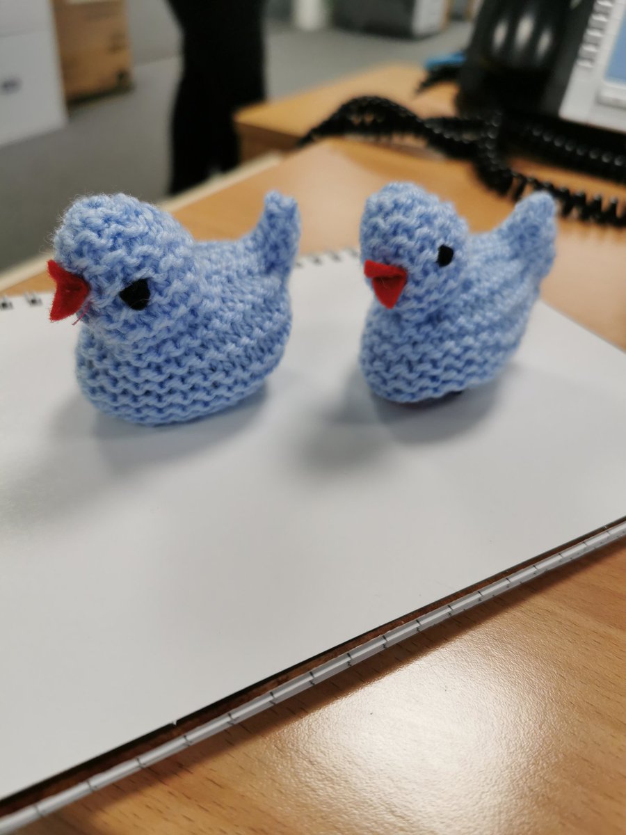 Little LPT chicks ready to lay their cream eggs. These have been wonderfully  knitted by Jane in LDU to raise funds for the Pancreatic Cancer Charity. <a href="/PancreaticCanUK/">Pancreatic Cancer UK</a> <a href="/LPTnhs/">Leicestershire Partnership NHS Trust</a> #easterchicks #fundraising #donate