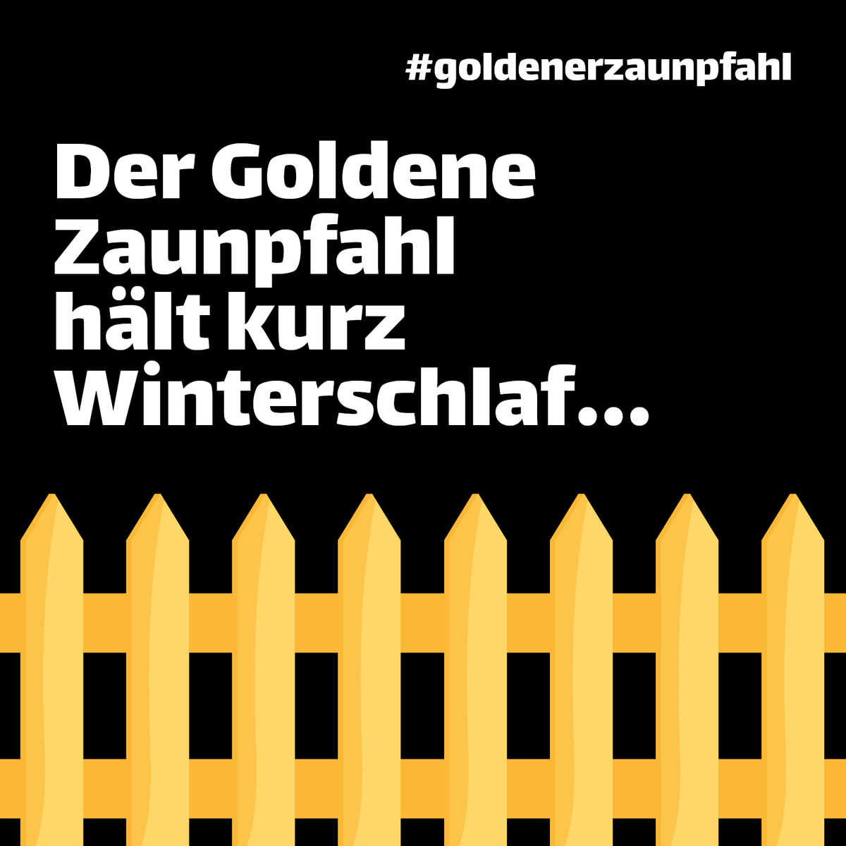 GoldenerZaun_'s tweet photo. Liebe Community,
Das Zaunpfahlteam macht einen kurzen Winterschlaf. 😴🐻 Nach der Verleihung des Goldenen Zaunpfahl im November und des #freispiel-Abzeichens im Februar gönnen wir uns ein bisschen Ruhe, bevor es im April mit voller Kraft weitergeht! 👐 https://t.co/tcxSZBu5hf