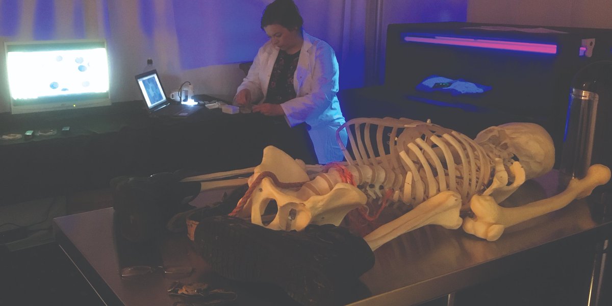 Science O3 tweet media