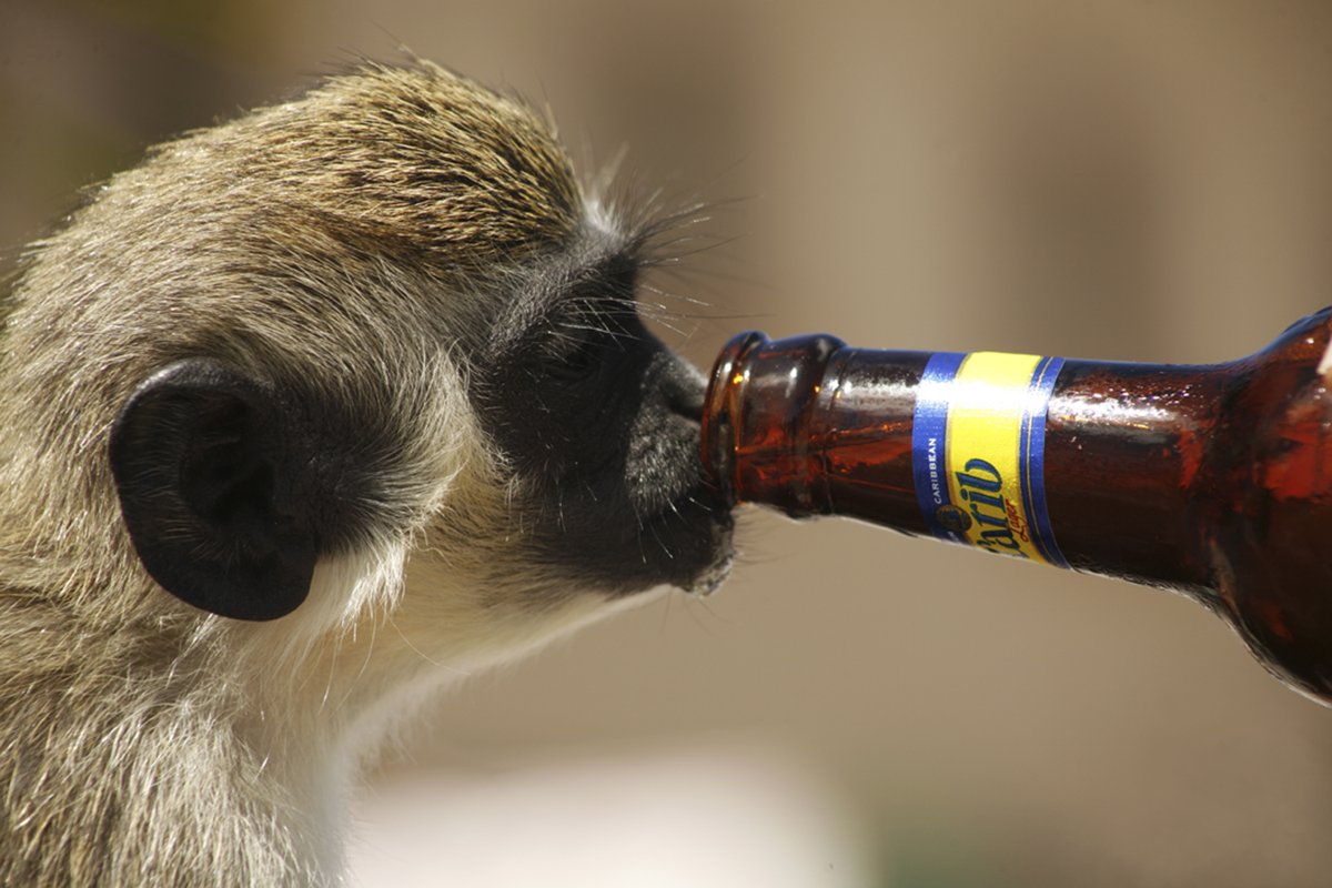 Science O3 tweet media