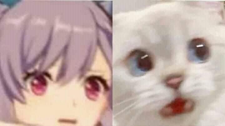Genshin Impact Memes Memes Genshin Twitter Genshin Impact Memes Memes Genshin Twitter
