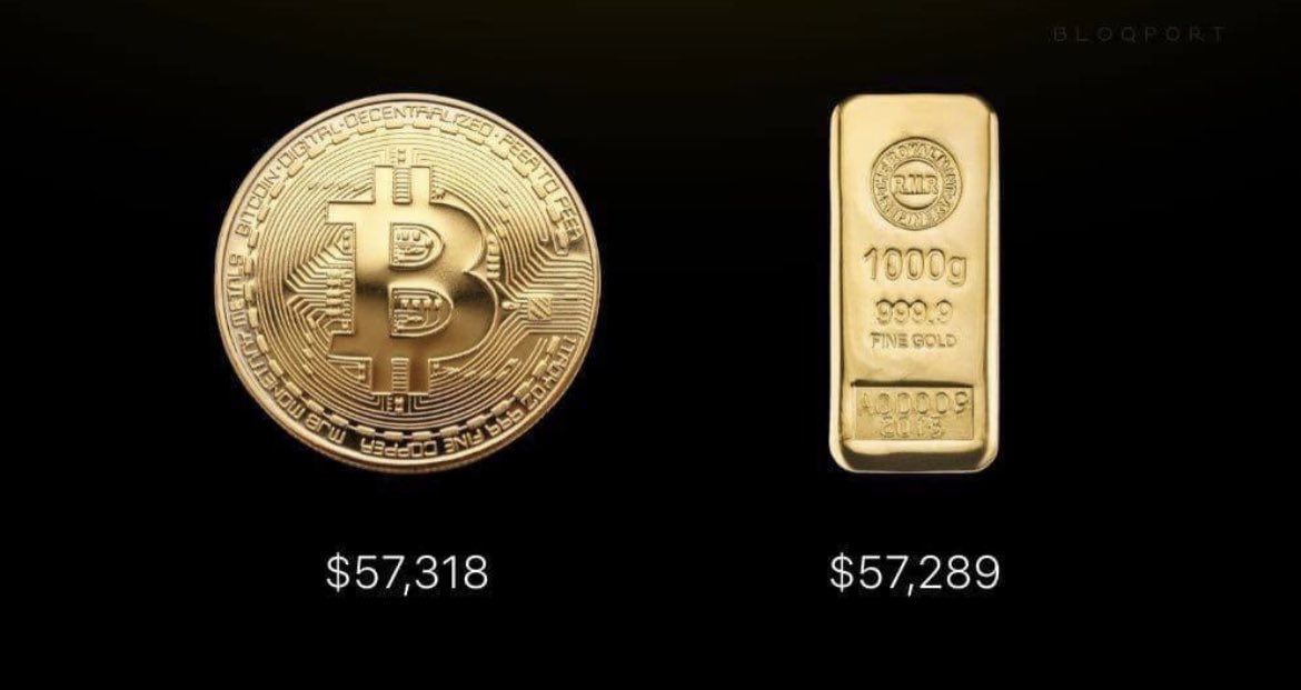 Madelon Vos tweet media