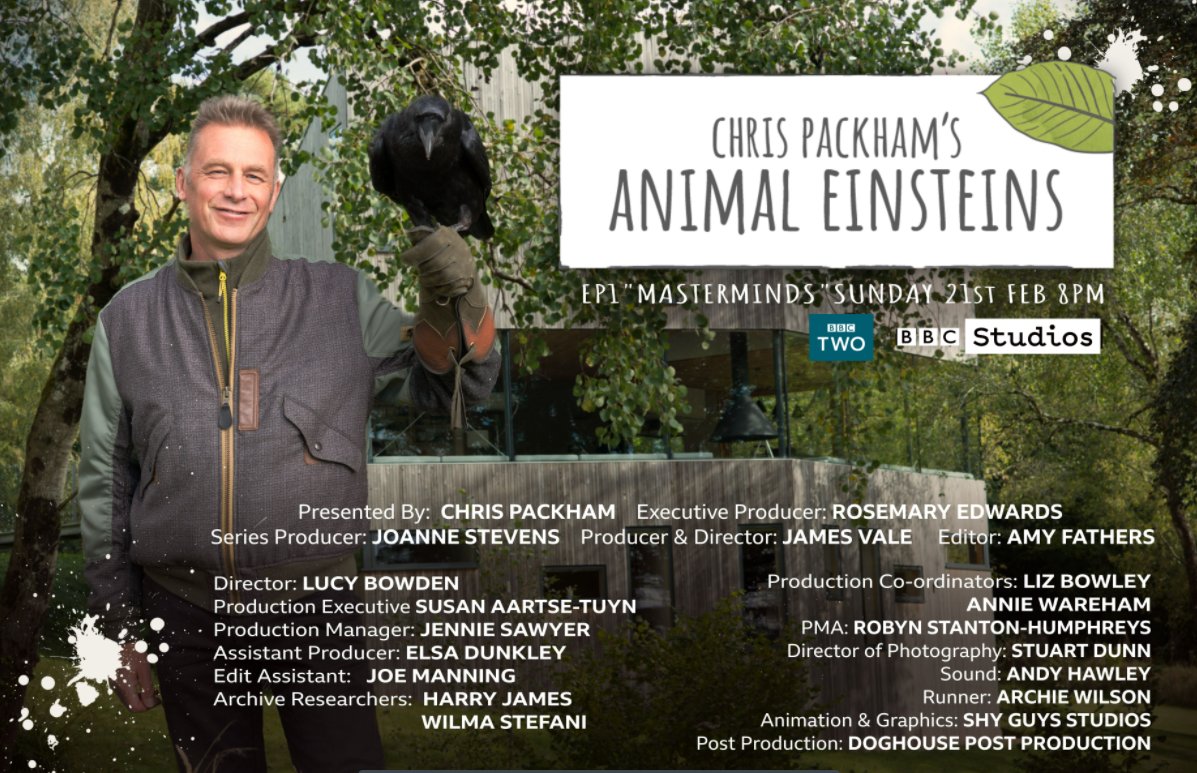 Don't miss episode 1 of Chris Packham's #AnimalEinsteins, tonight at 8pm on BBC Two - perfect Sunday evening viewing! This fascinating series looks at the world's smartest animals, and tonight's episode features new science and fascinating facts about cuttlefish, bees and dogs.