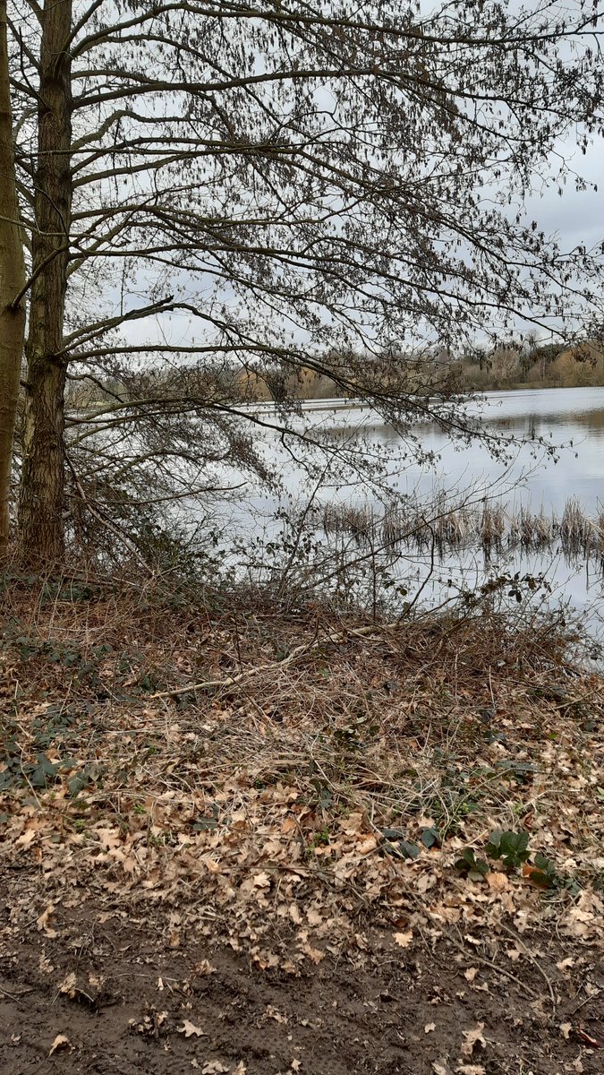 claremarlow's tweet photo. Spring is on it's way 🙂 https://t.co/lZYGeuxCyz