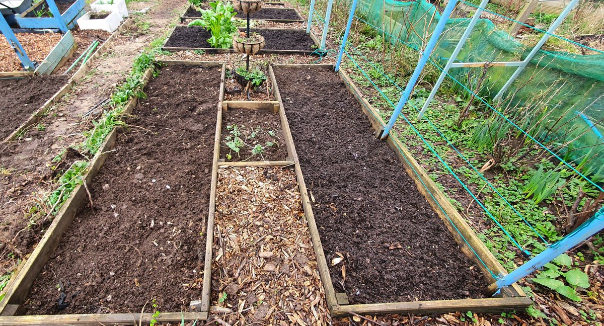 lovely_plot's tweet image. Just so you know, I don't get dirty for nothing 😏 My beds look bangin'😏 😂