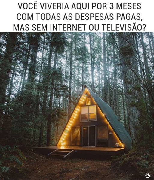 Avaly.io tweet media