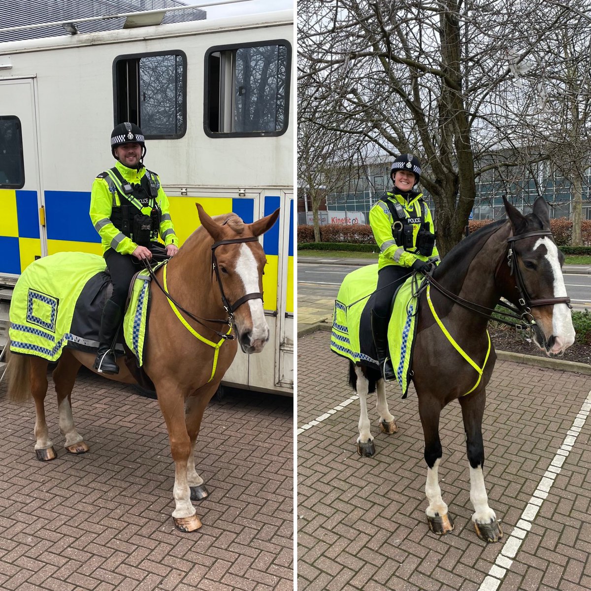 TVP_horses's tweet photo. Our horses can turn their hooves to anything!
Whilst conducting violent crime patrols in #Slough this afternoon #PHLuna and #PHAtlas also managed to locate a vehicle involved in a fail to stop RTC π #saferroadsforall https://t.co/aV2jNqsvqq