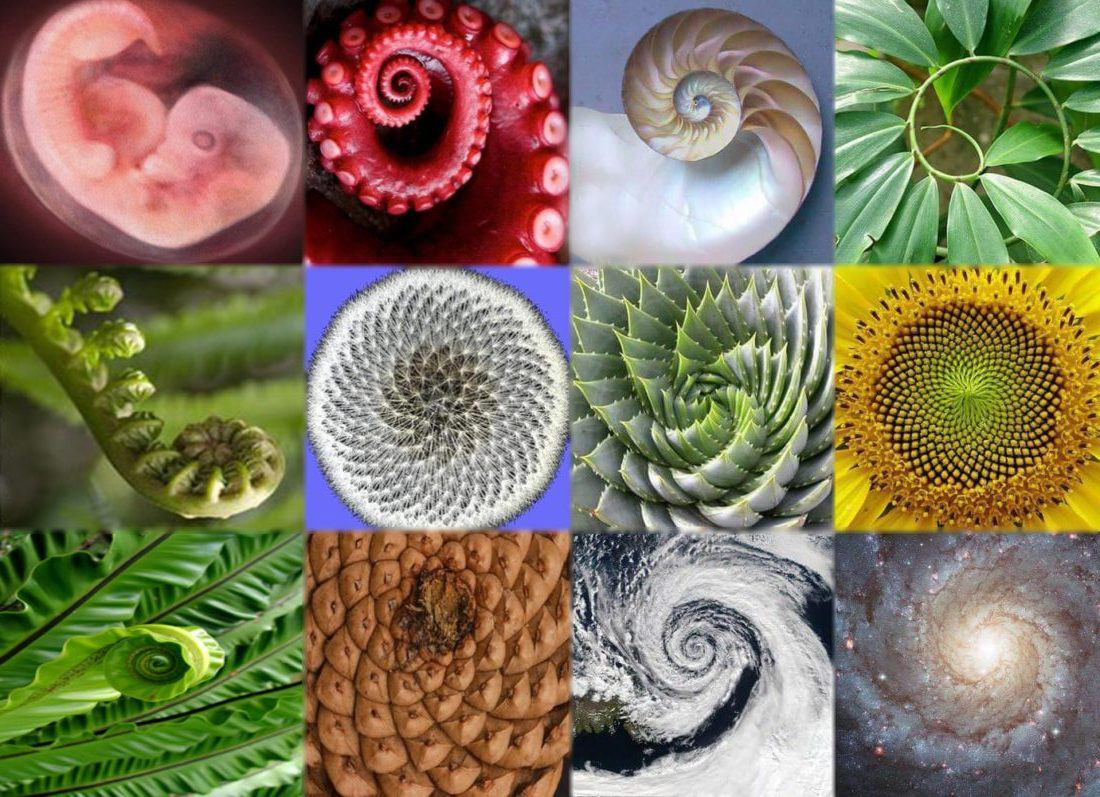 Şüphesiz biz her şeyi bir ölçüye göre yarattık. 
-Kamer, 49

#ayet