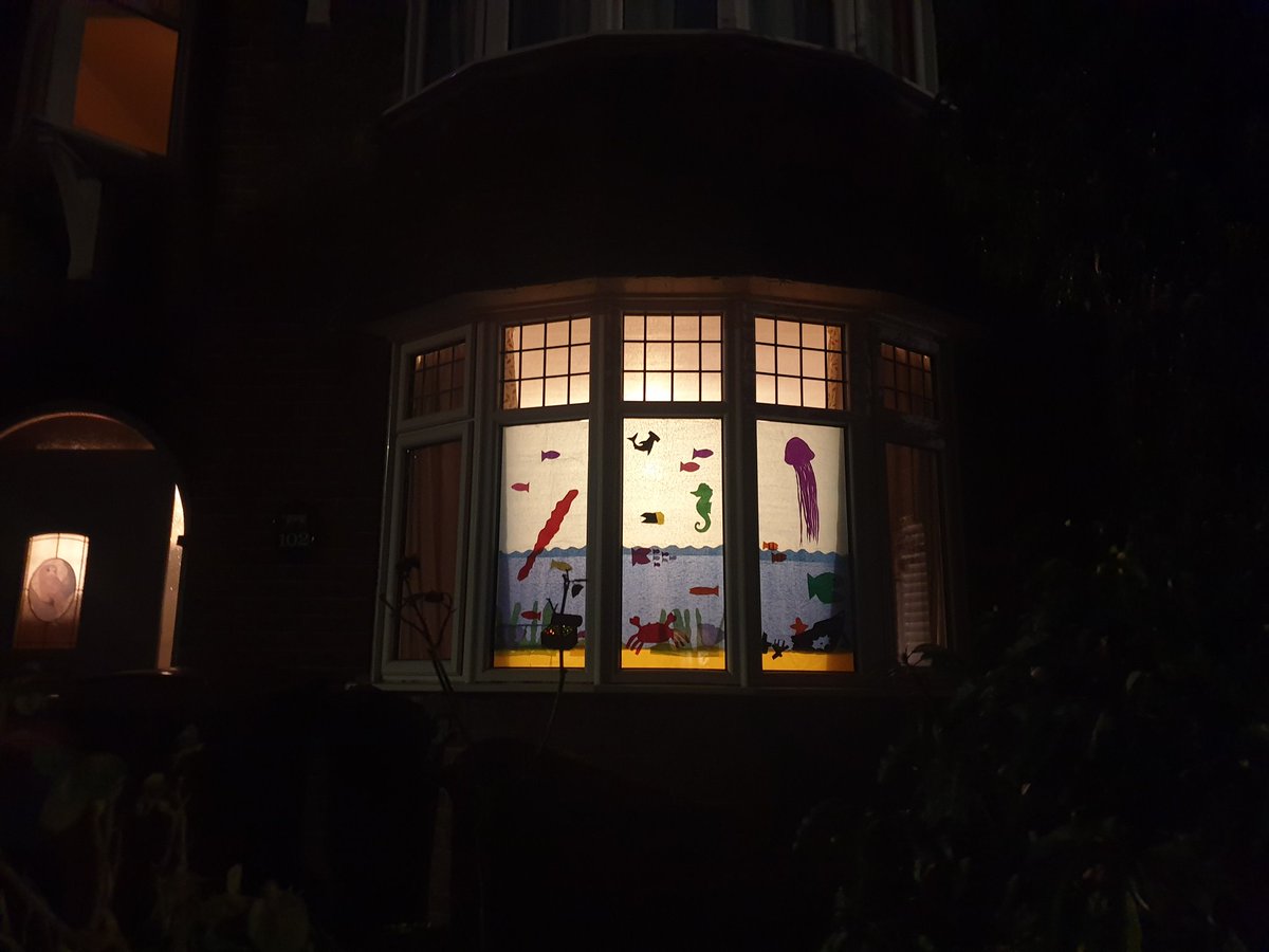 west_window tweet picture