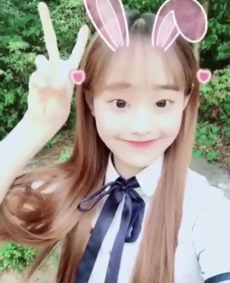 daily chuu