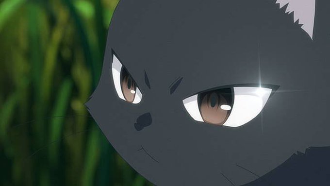 常夏 ゆるふわダイビング部さん がハッシュタグ ふらいんぐうぃっち をつけたツイート一覧 1 Whotwi グラフィカルtwitter分析 常夏 ゆるふわダイビング部さん がハッシュタグ ふらいんぐうぃっち をつけたツイート一覧 1 Whotwi グラフィカルtwitter分析