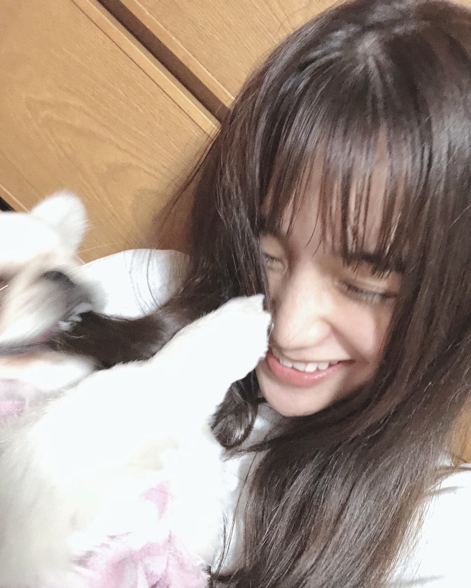 棚原里帆 2 22猫の日に生まれた犬 一緒に写真撮らせてくれない笑 髪の毛食べるけど可愛い T Co 0y1ljjo2rn Twitter