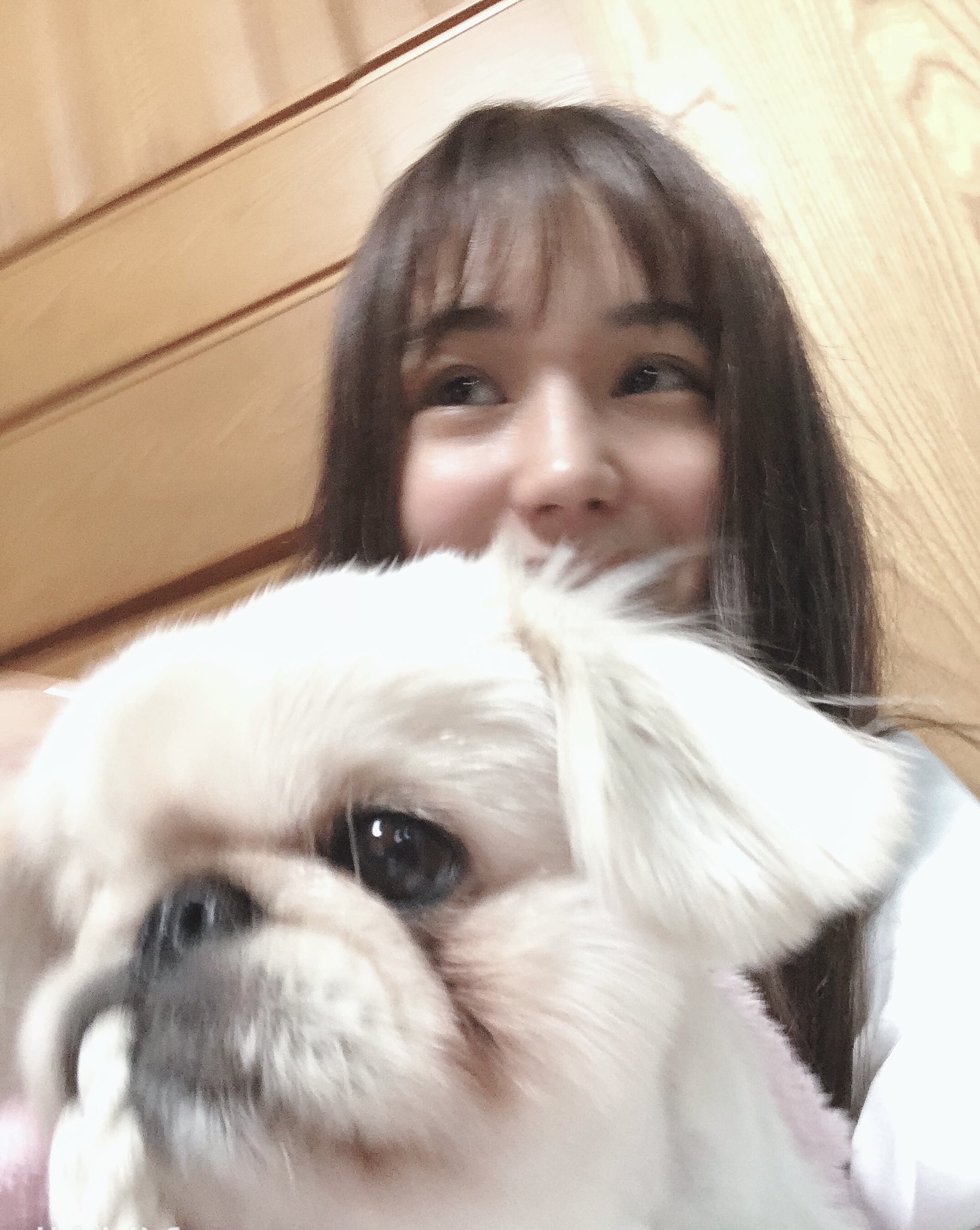 棚原里帆 2 22猫の日に生まれた犬 一緒に写真撮らせてくれない笑 髪の毛食べるけど可愛い T Co 0y1ljjo2rn Twitter