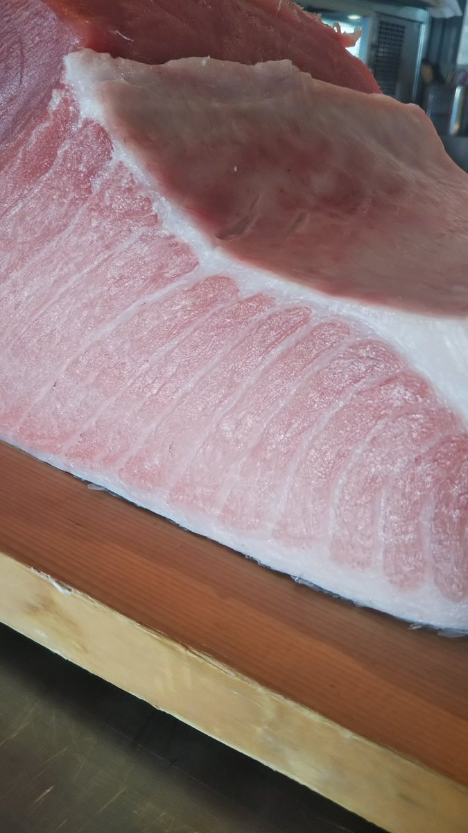 土風炉 錦糸町駅前プラザビル店 本日 まぐろ良いの入ってます おすすめランチ 生本まぐろトロ丼 錦糸町ランチ 土風炉 錦糸町駅前プラザビル店 本日 まぐろ良いの入ってます おすすめランチ 生本まぐろトロ丼 錦糸町ランチ