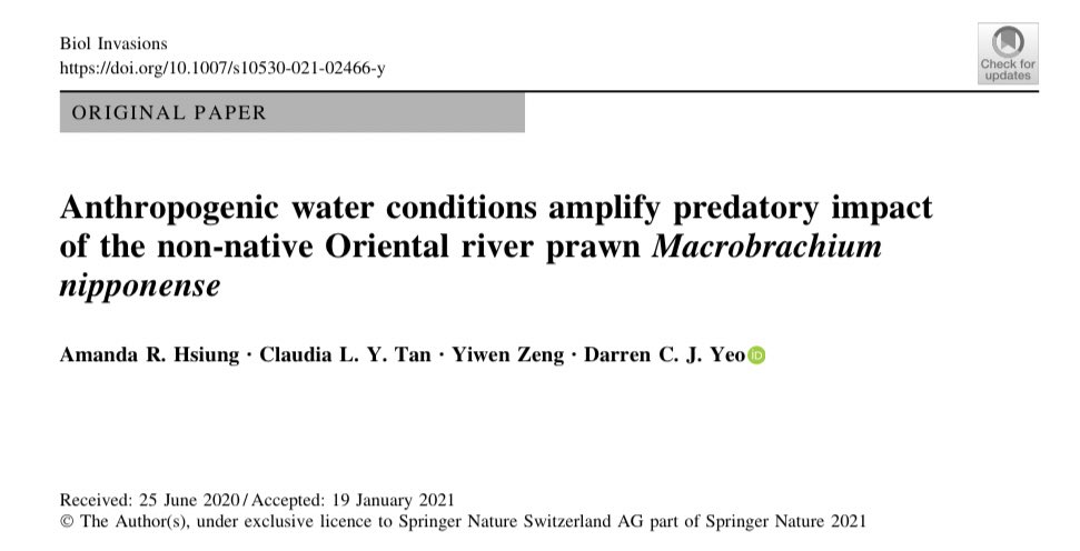 Amanda Hsiung tweet media