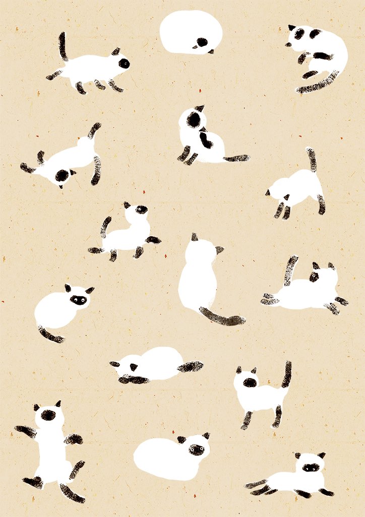 「#猫の日 」|ももろ　4／20発売絵本「パンダのパクパクきせつのごはん」のイラスト