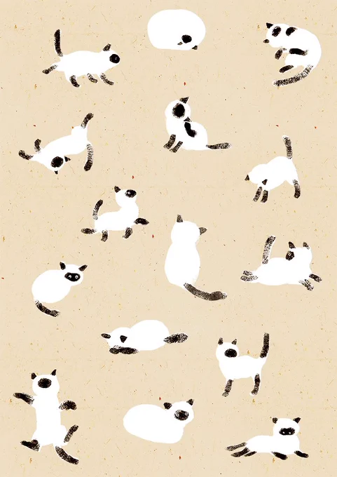 #猫の日 