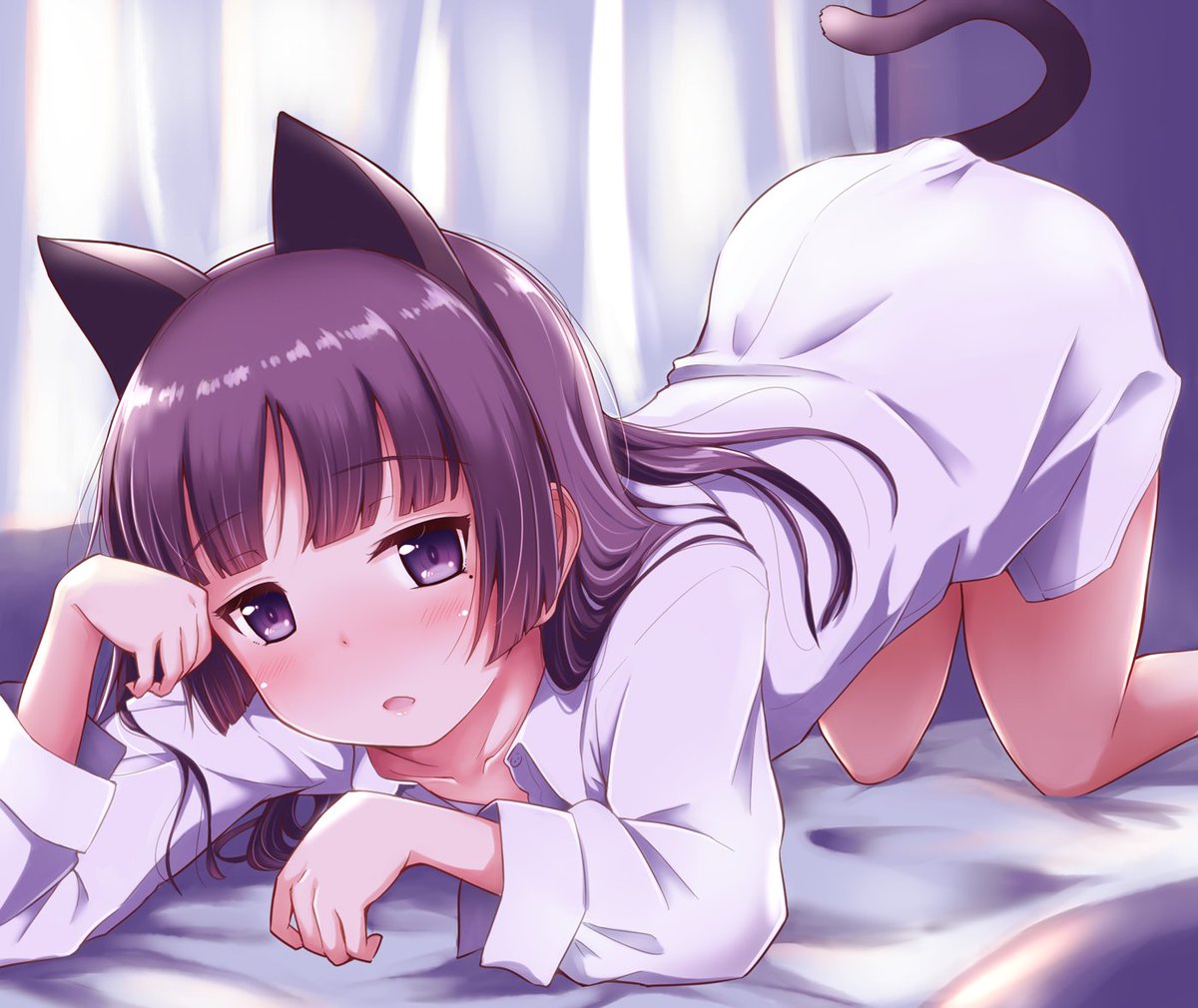 五更瑠璃 「#猫の日 の朝。明日は休日、瑠璃先輩。

#黒猫if 下巻まであと 1 6 日!」|高槻暁のイラスト
