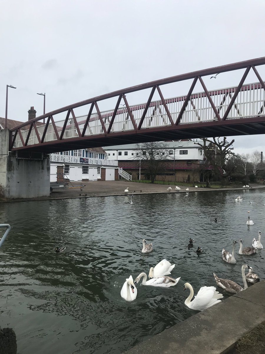 JudyDean1's tweet photo. #NHS1000miles - 2x 5k πββοΈ+ 48 k πΆββοΈ = 36 miles. YTD = 167 miles. Running for @LullabyTrust #feb50 too. https://t.co/ZuvlmZCVHu