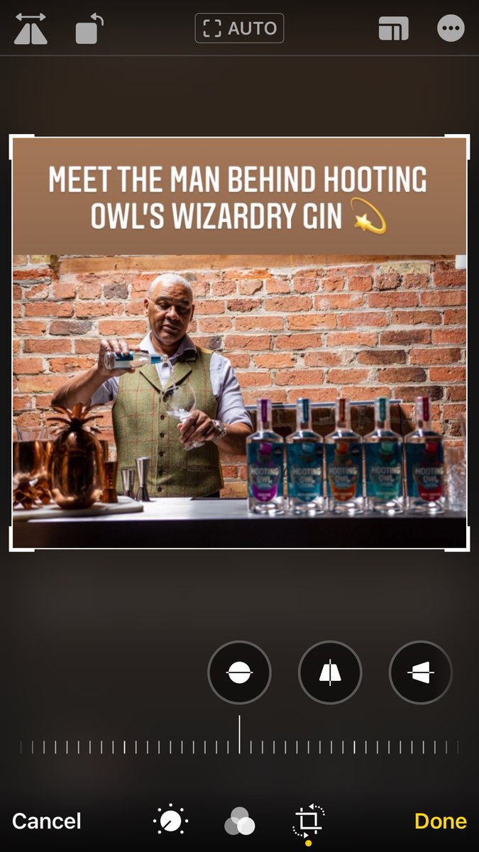 Hooting Owl Spirits tweet media