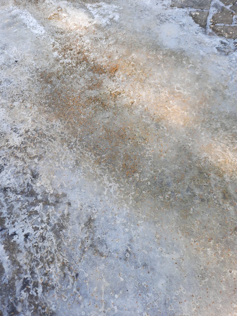 SharkawyMD's tweet photo. I think "pet friendly" ice melter ought to be renamed "ice friendly" pet food. #FalseAdvertising #IceIceMaybe https://t.co/idgFU3Qhxx