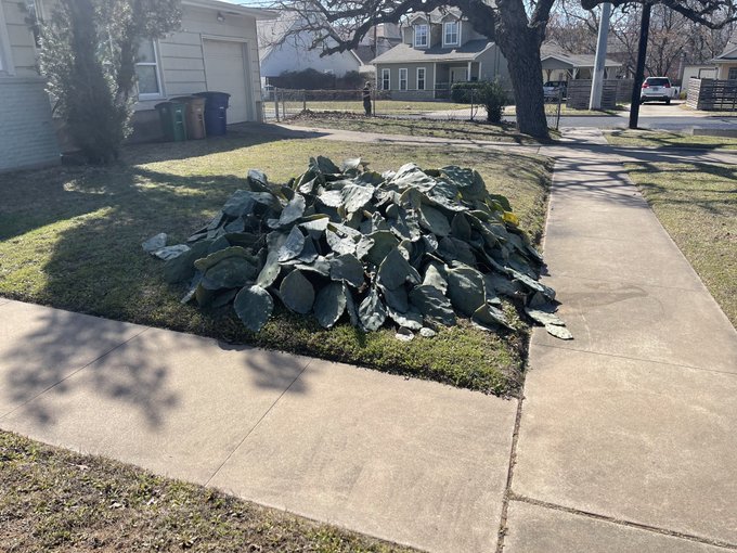 Current mood. https://t.co/CLCkPVT1J7