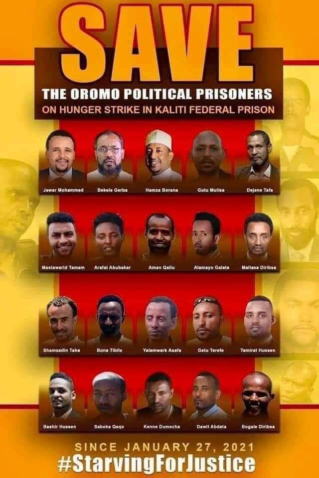 ElemoQilxuu's tweet photo. For 237days, Abiy Ahmed Ali arrested leading Oromo politicians who posed a serious challenge to his power. They remain in prison whithout a shed of evidence presented against them. 
#StarvingForJustice 
#FreeAllPoliticalPrisonersinEthiopia
 #OromoProtests https://t.co/kSz5L1ojp0 https://t.co/hHnvEpBUQT
