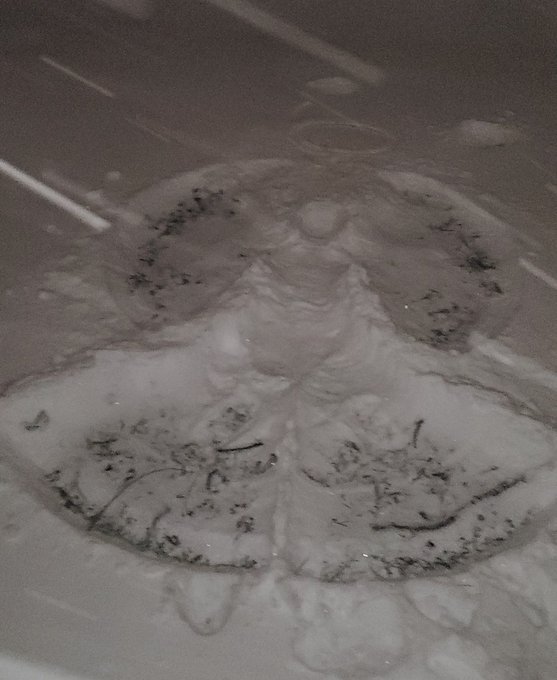 #trixzie My Snow Angel 😇 #dtrixz https://t.co/kQMJ7mcxC5<a href="/tag/trixzie"class="tags">#trixzie</a><a href="/tag/dtrixz"class="tags">#dtrixz</a>