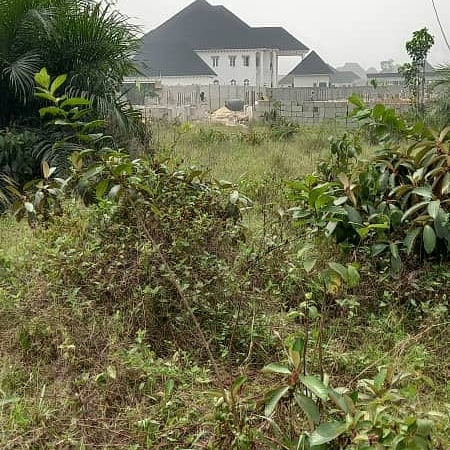 _obeena's tweet photo. One plot of land available at Sars road Port Harcourt.
Title: Deed of Conveyance
Price is 6.5m net
Serious clients should Call for inspection 07061918286
#Phrealestatecompanies
#Buharimustgo
#14thHeadies
#Wizkid
#Davido
#Bella
#Phlands
#Porthatcourtproperties https://t.co/RVvxX9xWA4