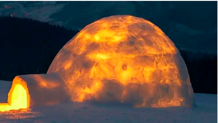 apeofpentacles's tweet image. 