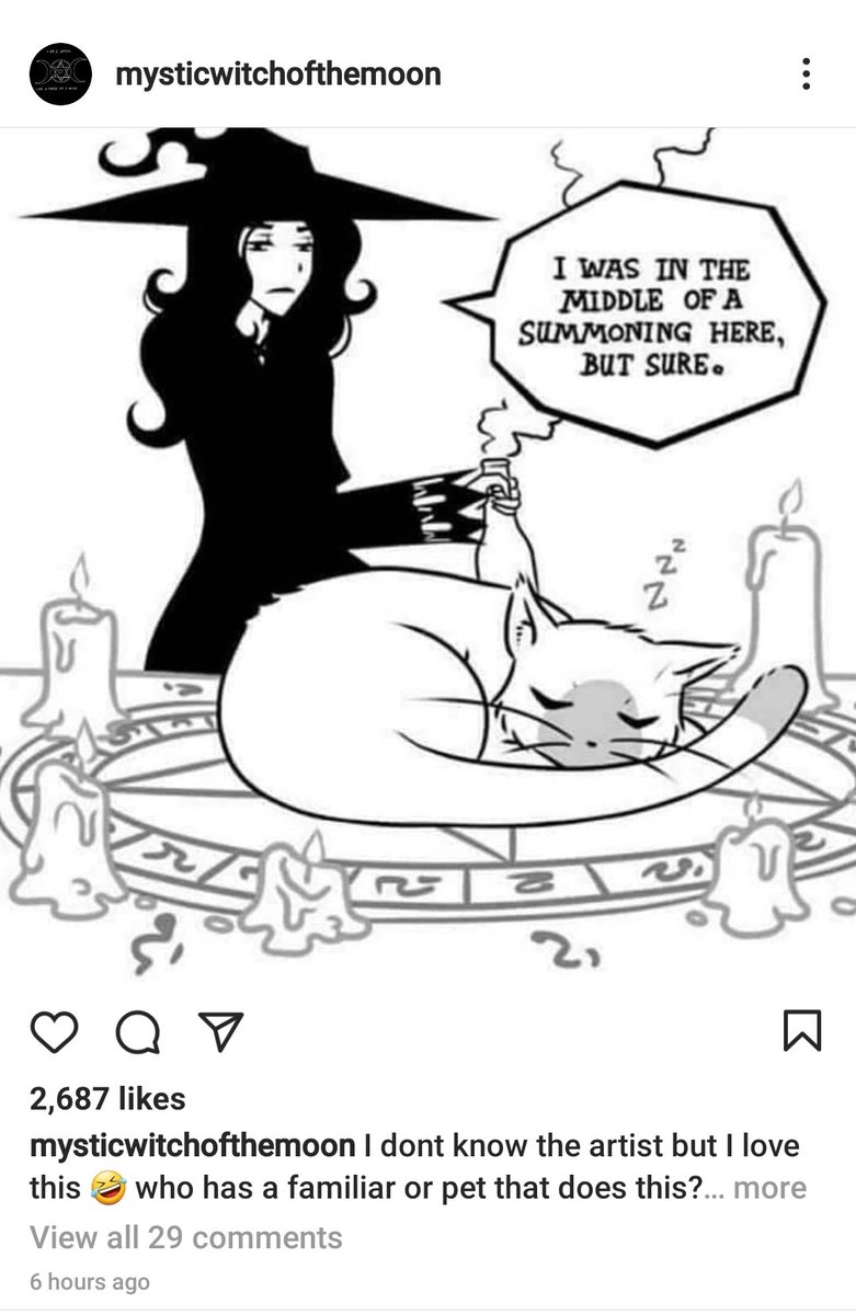 wanderingwitch0's tweet photo. 🖤😼 https://t.co/QDzK9zJoEB