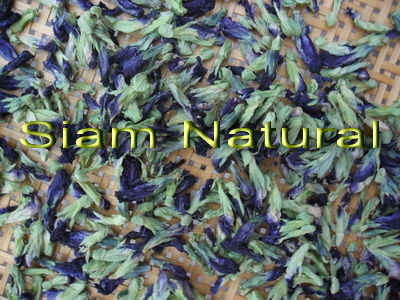 Siam Natural Herbal (@siamnatural) on Twitter photo Blue Butterfly Pea, known as DOK Anchan in Thailand is a hugely popular part of Thai culture. Benefits include improved blood circulation, glowing hair, smoother skin
ON Sale $6.99! We have stock in our Indiana warehouse <a href="/paradisemoon/">Hollie Morales</a> siamnatural.com/product_menu.h… Blue Butterfly Pea, known as DOK Anchan in Thailand is a hugely popular part of Thai culture. Benefits include improved blood circulation, glowing hair, smoother skin
ON Sale $6.99! We have stock in our Indiana warehouse <a href="/paradisemoon/">Hollie Morales</a> siamnatural.com/product_menu.h…