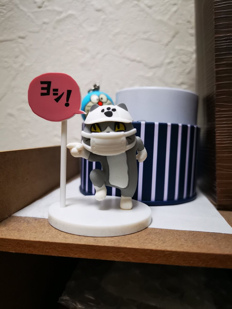 ymc_'s tweet photo. おはようございます。
今日も暖かく良い日になりそうですね。
2月22日猫の日、出勤の方もお出かけの方も今日も安全運転確認ヨシ！（笑） https://t.co/cxFgPuWu98