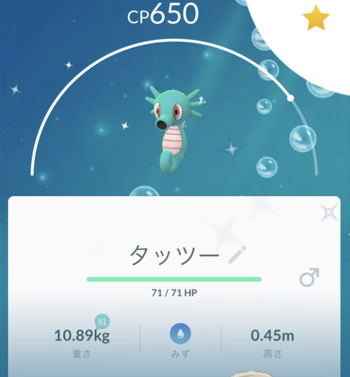 みー ポケモンgo垢 昨日全くできなかったけど休憩中の10分とか帰り歩いていた時の少しの時間で色違いヤドンと色違いタッツー出てくれた 嬉しすぎる 水ポケモン好きからしたら本当最高だよね かわいすぎる ポケモンgo ポケモンgo 色