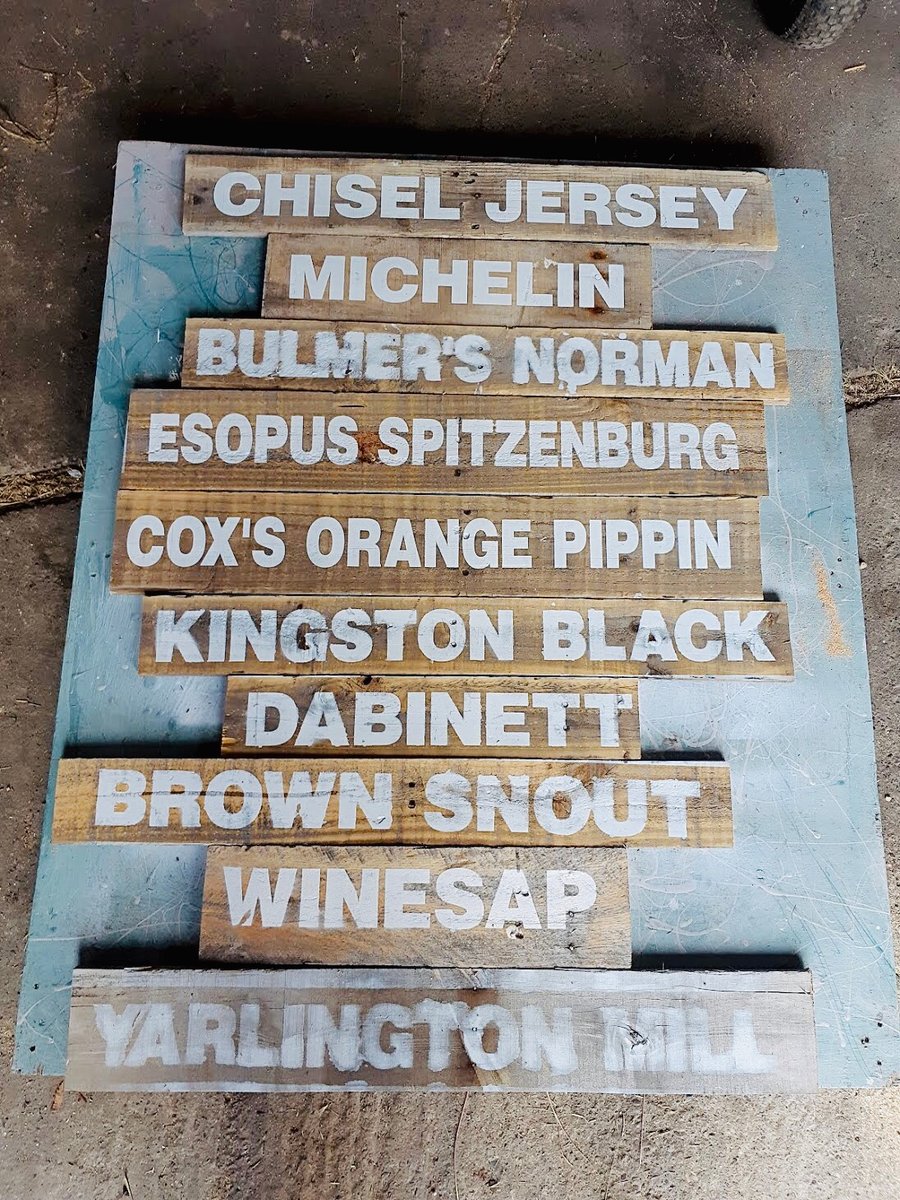 HowlingCider's tweet image. How many varieties of apples are in our Revolution Dry Craft Cider?  These are just a few we have planted  at the Cider House and we&apos;ve added into the 2020 vintage.  

howlingmoon.ca/collections/dr…

#LiveFreeLoveCider
#BuyBC
#BCFarmCraftedCider