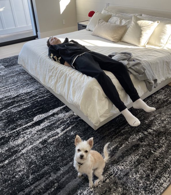 update on the stream https://t.co/pQTp8bRAi1
