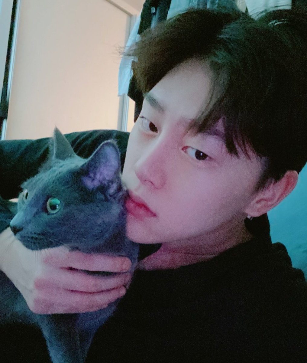 visual sıçıyo evet