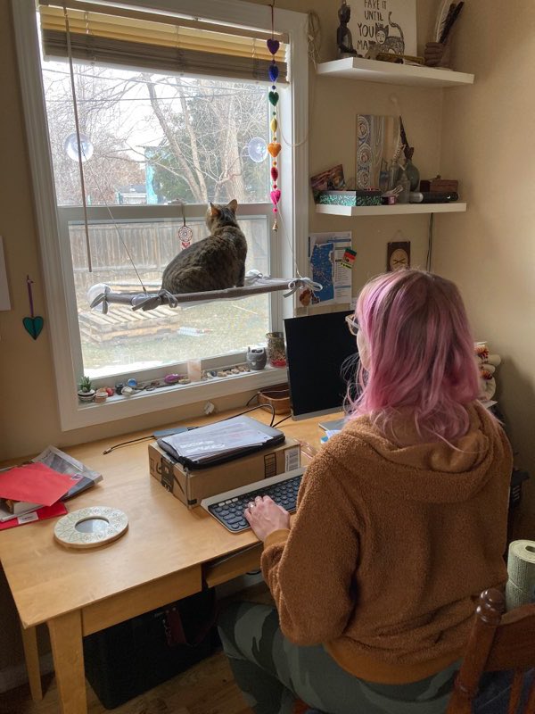 Marissa from Boise 💌 tweet media