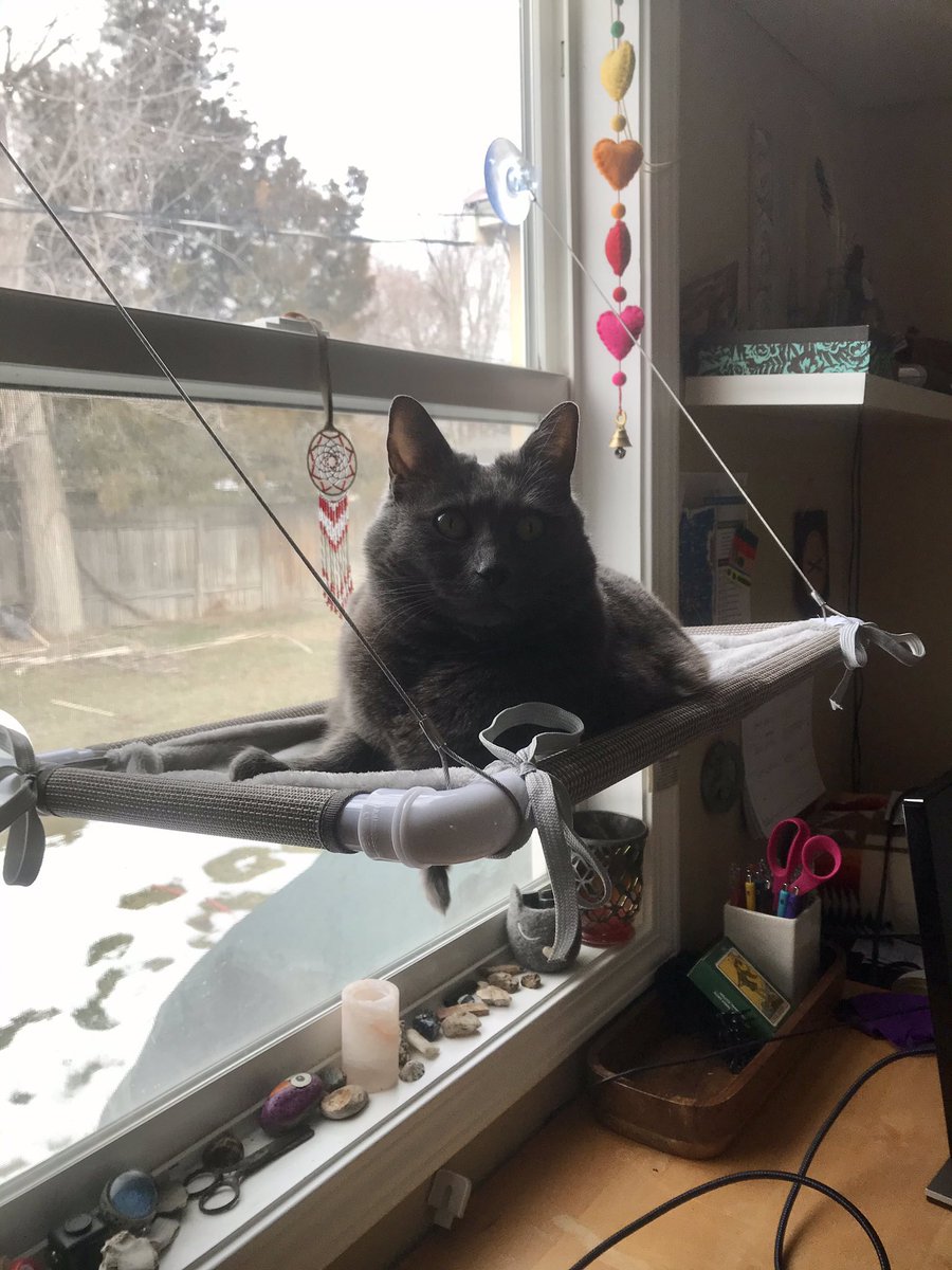 Marissa from Boise 💌 tweet media