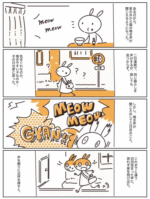 子猫を拾えなかった話①
#猫の日 