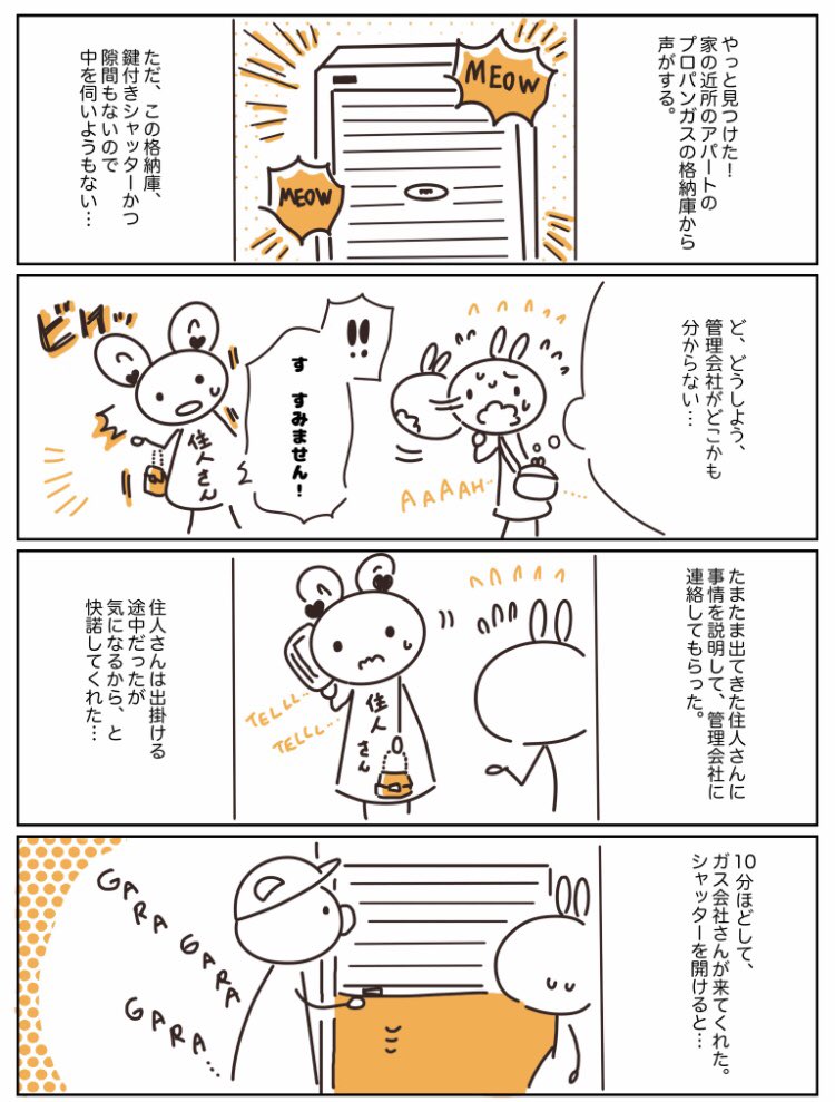 子猫を拾えなかった話①
#猫の日 