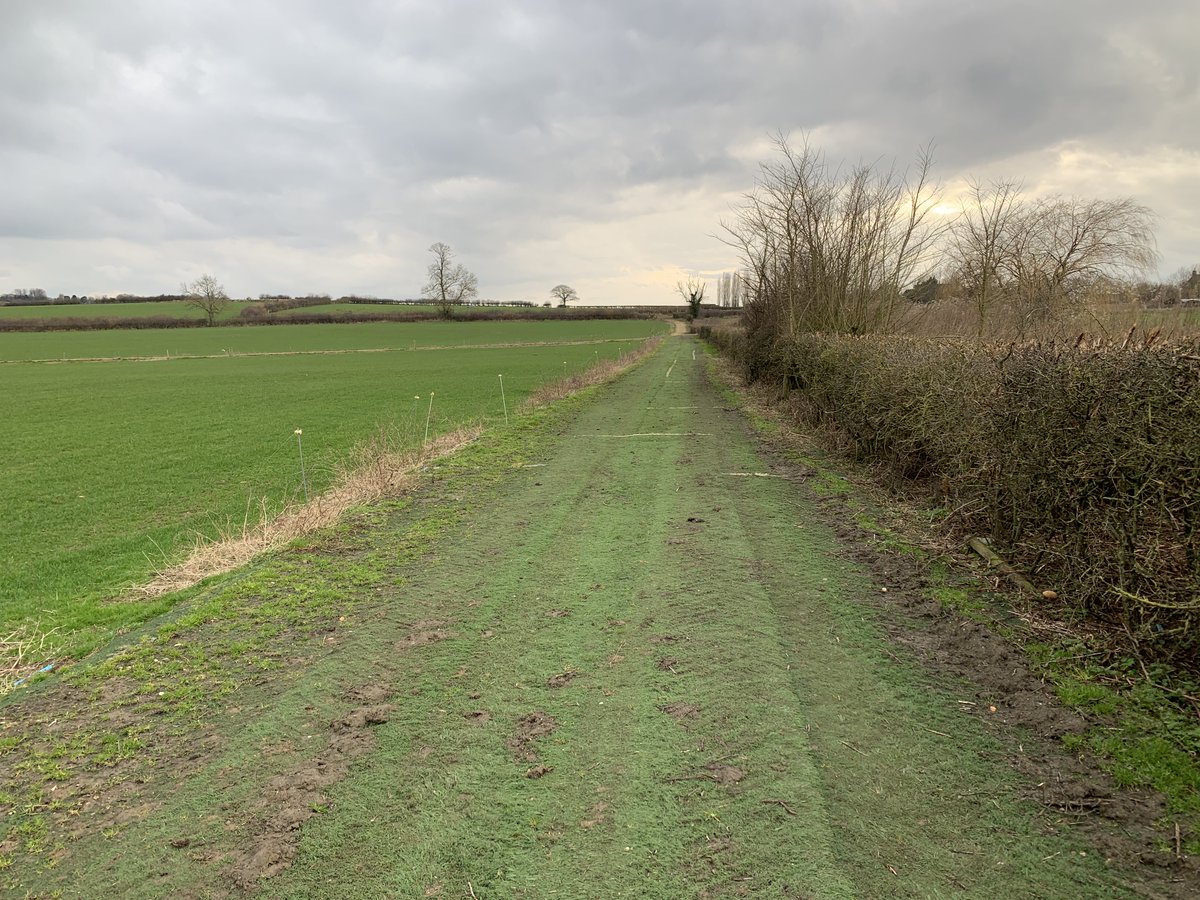 simonpipe's tweet image. At first, I thought it rather funny to find myself way out in the Warwickshire countryside, #running on a recycled articial sports pitch. On reflection: weird, but probably not funny. #plasticwaste
