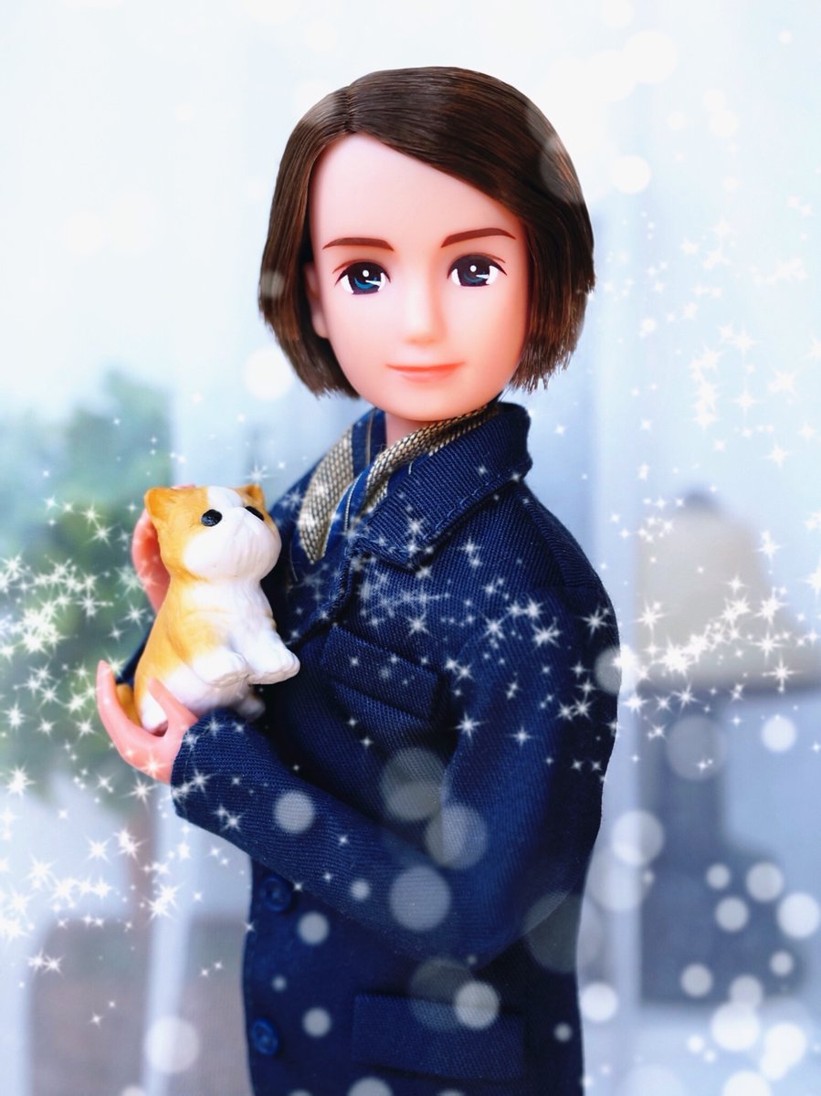 リカちゃん 公式 Sur Twitter 私が欲しくなったのです リカのパパさんが にゃんとペットショップでひとめぼれ うちの子になったら プリンちゃんやピーちゃんと一緒に楽しく暮らそうにゃ おじ猫 猫の日 今日は何の日