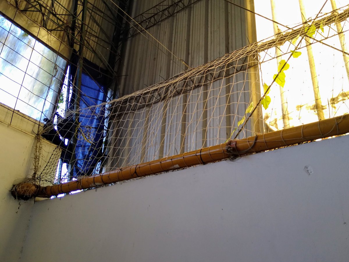 HandballMitre's tweet photo. Se estuvo trabajando en el sector del gimnasio que da a las vías del 🚂. El objetivo es que nuestros profes puedan trabajar con mayor seguridad sin tener que arriesgarse a buscar las pelotas que caían allí. De esta forma cuidamos su salud y nuestro material. #VamosMitre💙🚂 https://t.co/iNc1R6k0sO