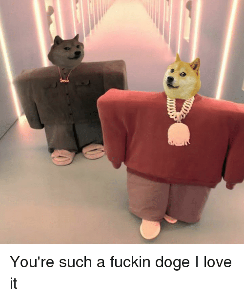 Promptpedia's tweet photo. $DOGE #DogeCoin #DogeArmy #DogeApp #DogeSpend https://t.co/rsnVbdVWzU
